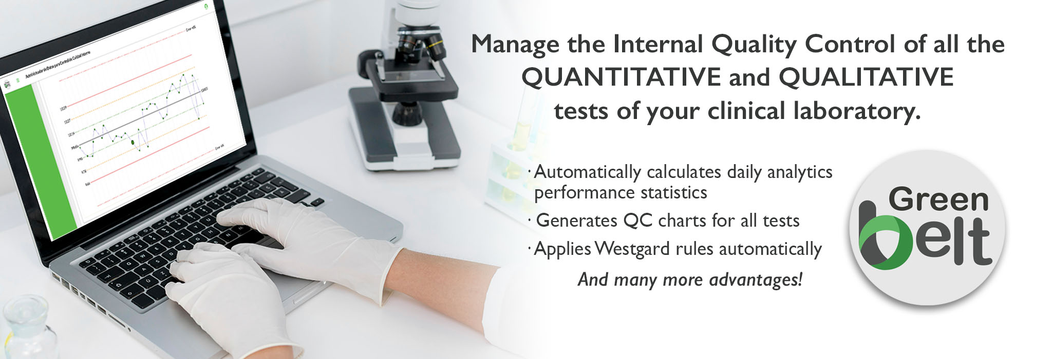 Banner green Belt 33 